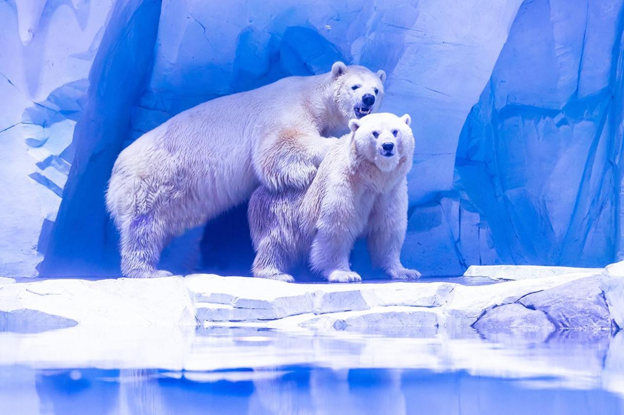 Haichang Ocean Park Khách sạn 5*